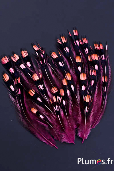 Coq de Sonnerat - 1-3 cm - rose ancien